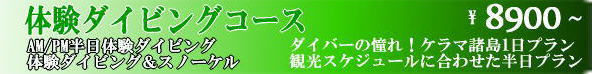 沖縄体験ダイビング
